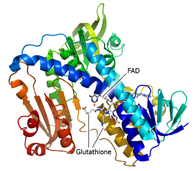Reduced Glutathione (GSH)